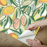 York Main Squeeze Peach Peel & Stick Wallpaper