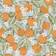 York Sky Blue Orange Grove Peel & Stick Wallpaper