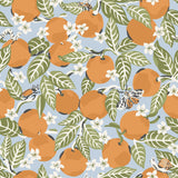 York Sky Blue Orange Grove Peel & Stick Wallpaper