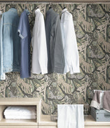 York Cream Grey Cat Nap Peel & Stick Wallpaper
