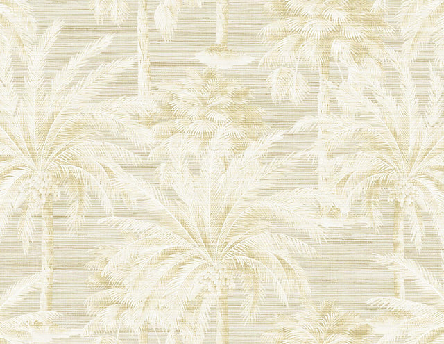 York Dream Of Palm Trees Beige Texture Wallpaper