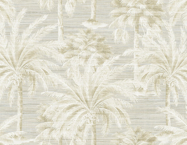 York Dream Of Palm Trees Sand Texture Wallpaper