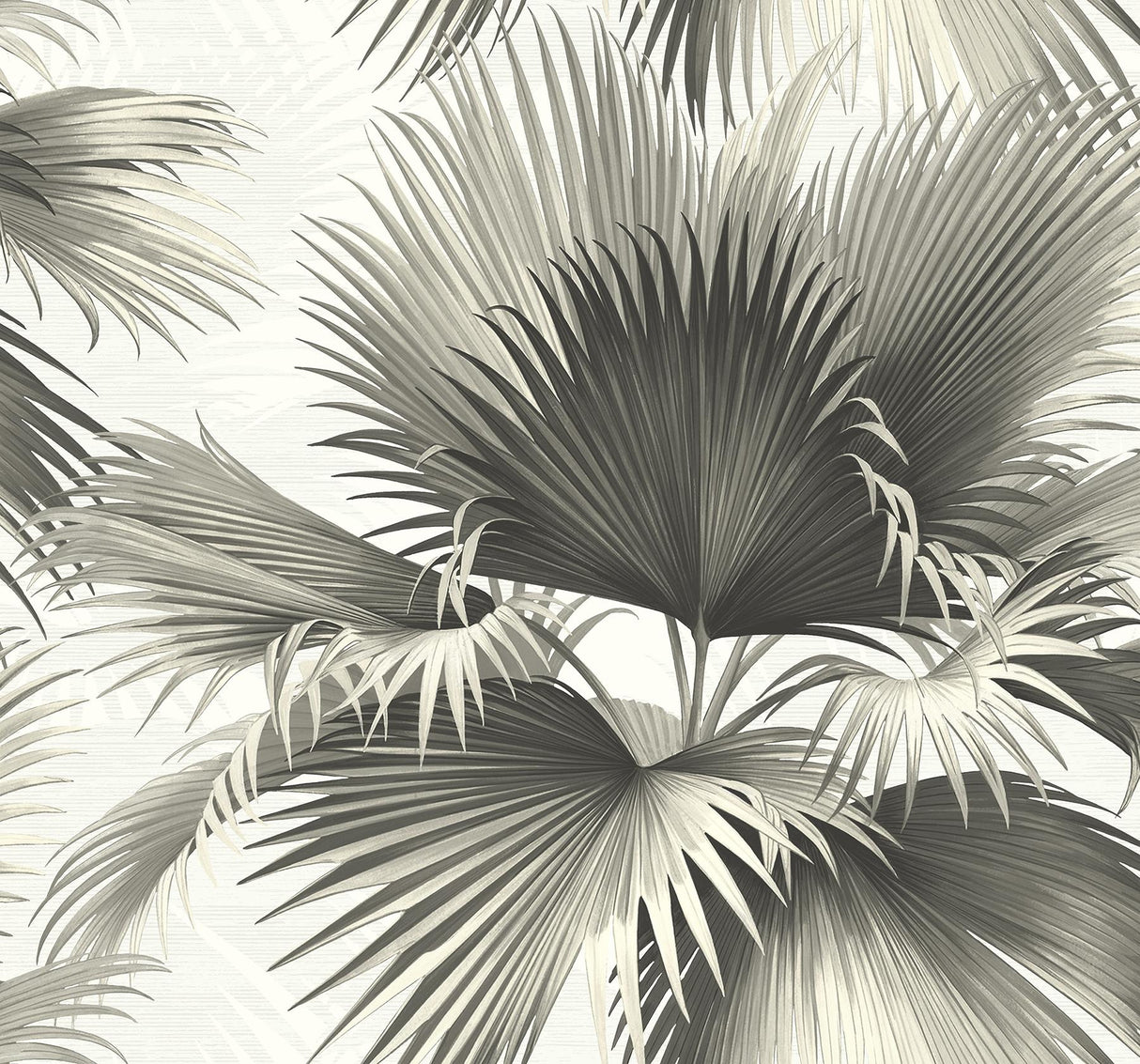 York Endless Summer Black Palm Wallpaper