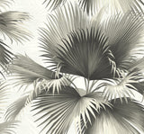York Endless Summer Black Palm Wallpaper