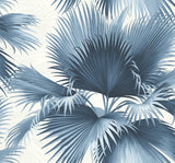 York Endless Summer Blue Palm Wallpaper