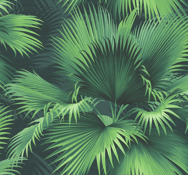 York Endless Summer Dark Green Palm Wallpaper