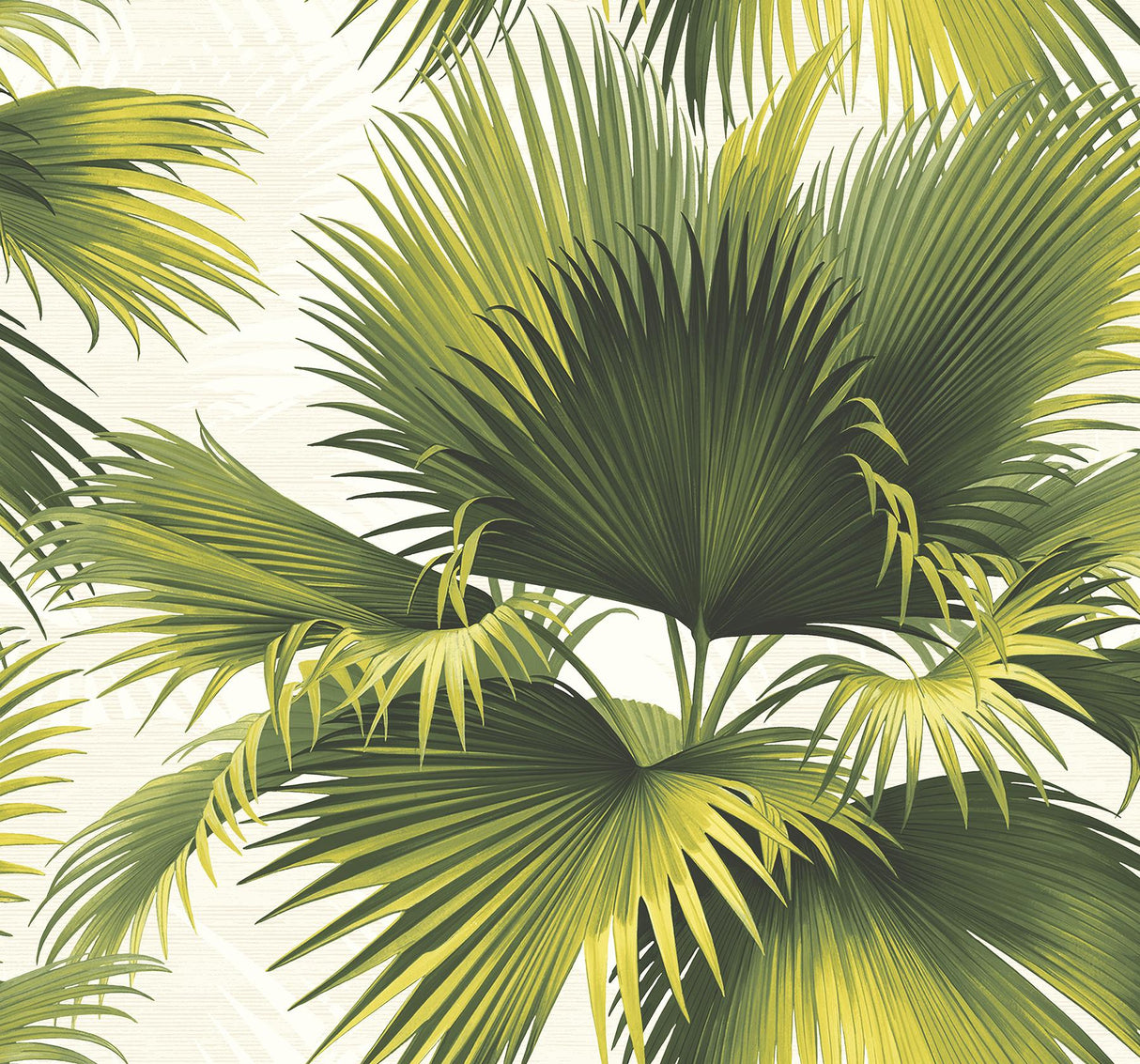 York Endless Summer Green Palm Wallpaper
