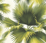 York Endless Summer Green Palm Wallpaper