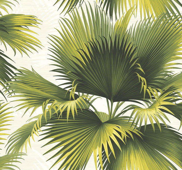 York Endless Summer Green Palm Wallpaper