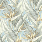 York Arcadia Blueberry Banana Leaf Wallpaper