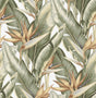 York Arcadia Light Green Banana Leaf Wallpaper