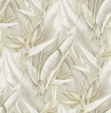York Arcadia Beige Banana Leaf Wallpaper