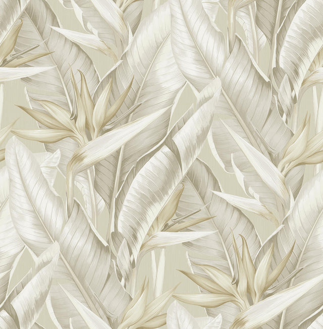 York Arcadia Beige Banana Leaf Wallpaper