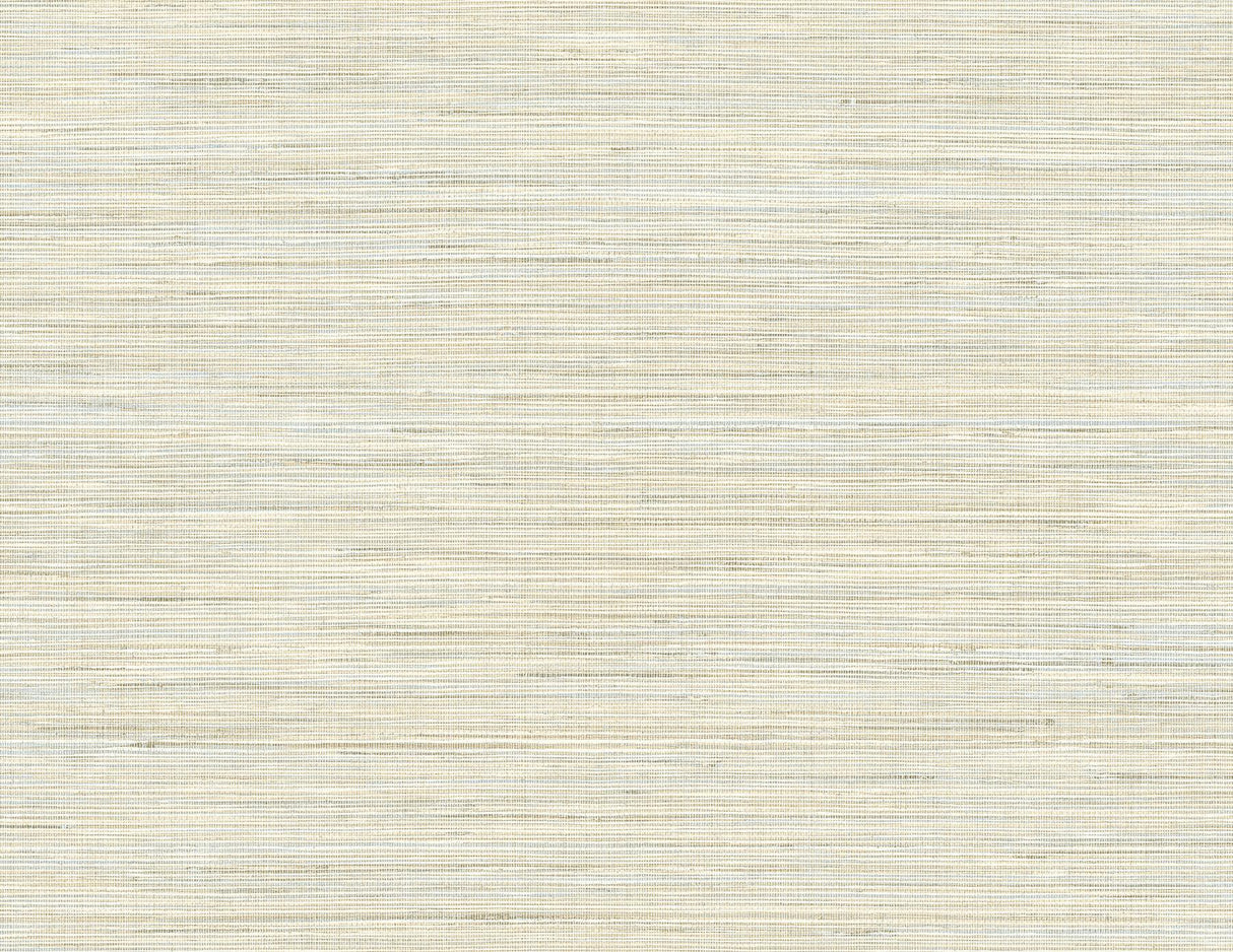 York Baja Grass Blue Texture Wallpaper