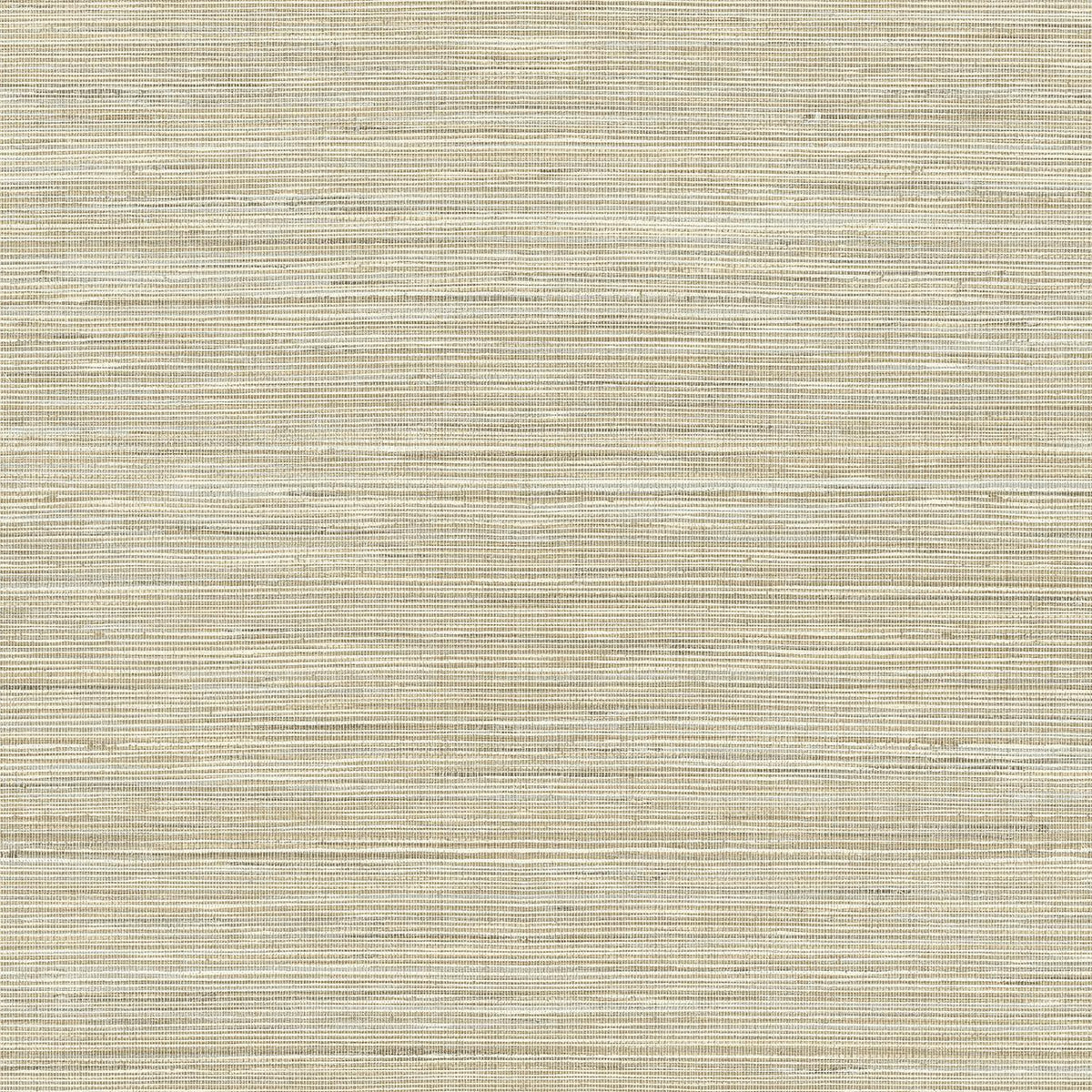 York Baja Grass Brown Texture Wallpaper – DecoratorsBest