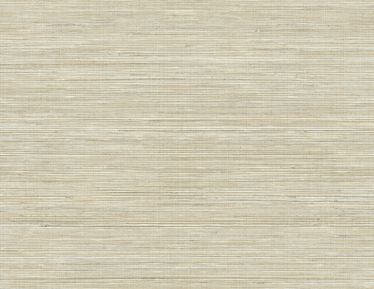 York Baja Grass Brown Texture Wallpaper