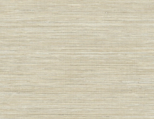 York Baja Grass Brown Texture Wallpaper