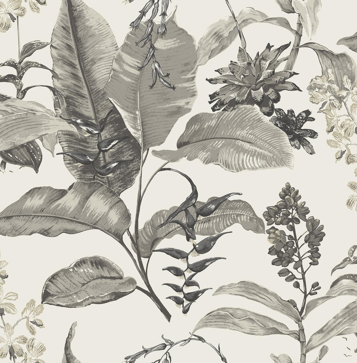 York Maui White Botanical Wallpaper