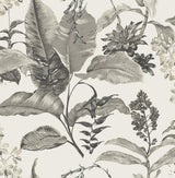 York Maui White Botanical Wallpaper