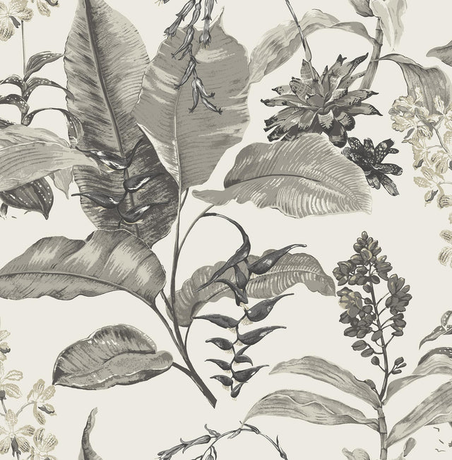 York Maui White Botanical Wallpaper