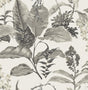 York Maui White Botanical Wallpaper