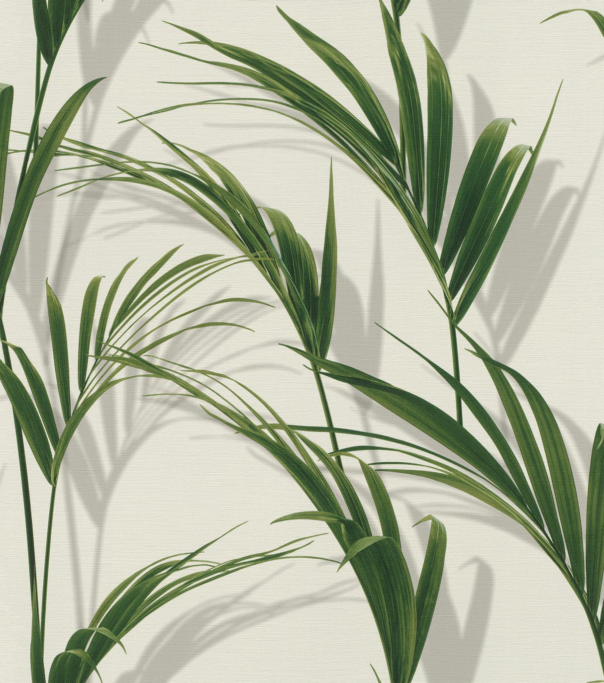 York Cyperus Grey Reed Wallpaper