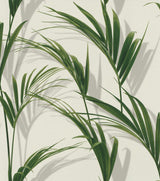 York Cyperus Grey Reed Wallpaper