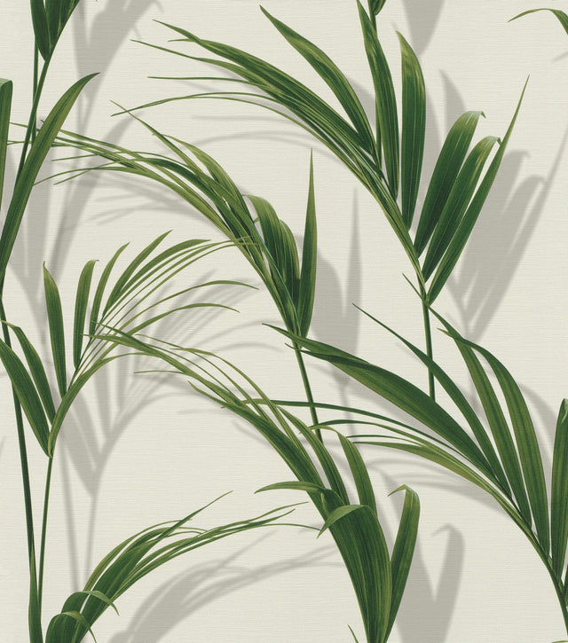 York Cyperus Grey Reed Wallpaper