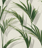 York Cyperus Grey Reed Wallpaper