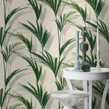 York Cyperus Grey Reed Wallpaper