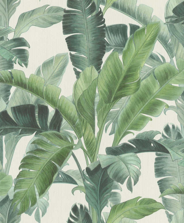 York Orissa Green Palm Frond Wallpaper