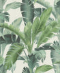York Orissa Green Palm Frond Wallpaper