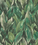 York Maclayi Green Banana Leaf Wallpaper