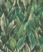 York Maclayi Green Banana Leaf Wallpaper