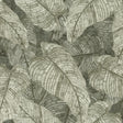 York Galner Moss Leaves Wallpaper
