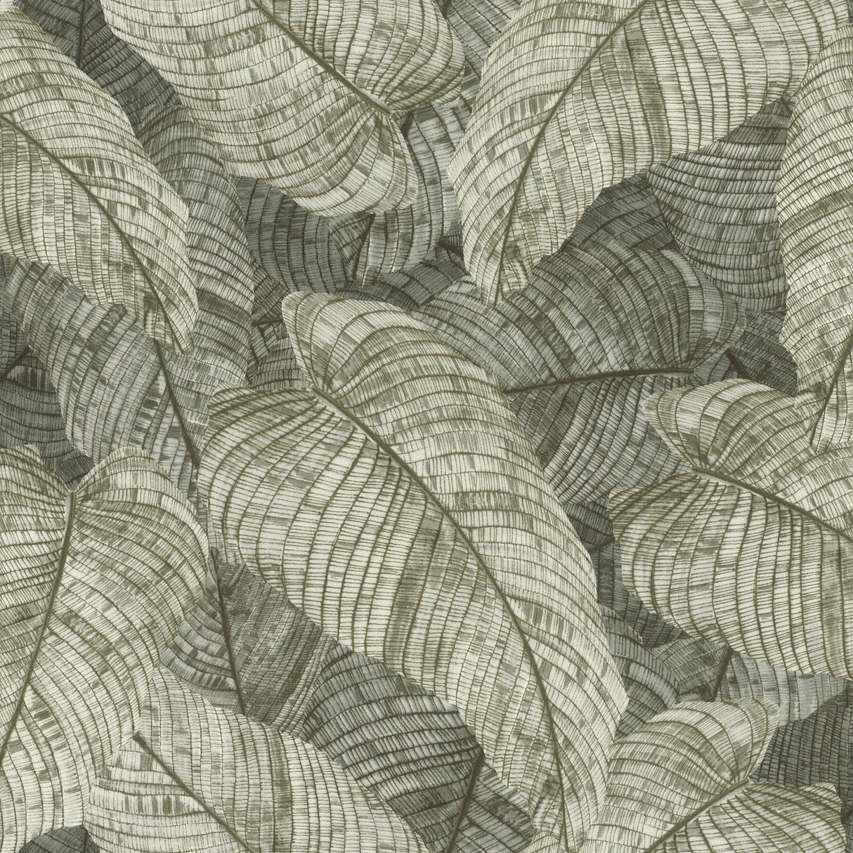 York Galner Moss Leaves Wallpaper