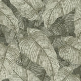 York Galner Moss Leaves Wallpaper