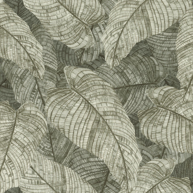 York Galner Moss Leaves Wallpaper