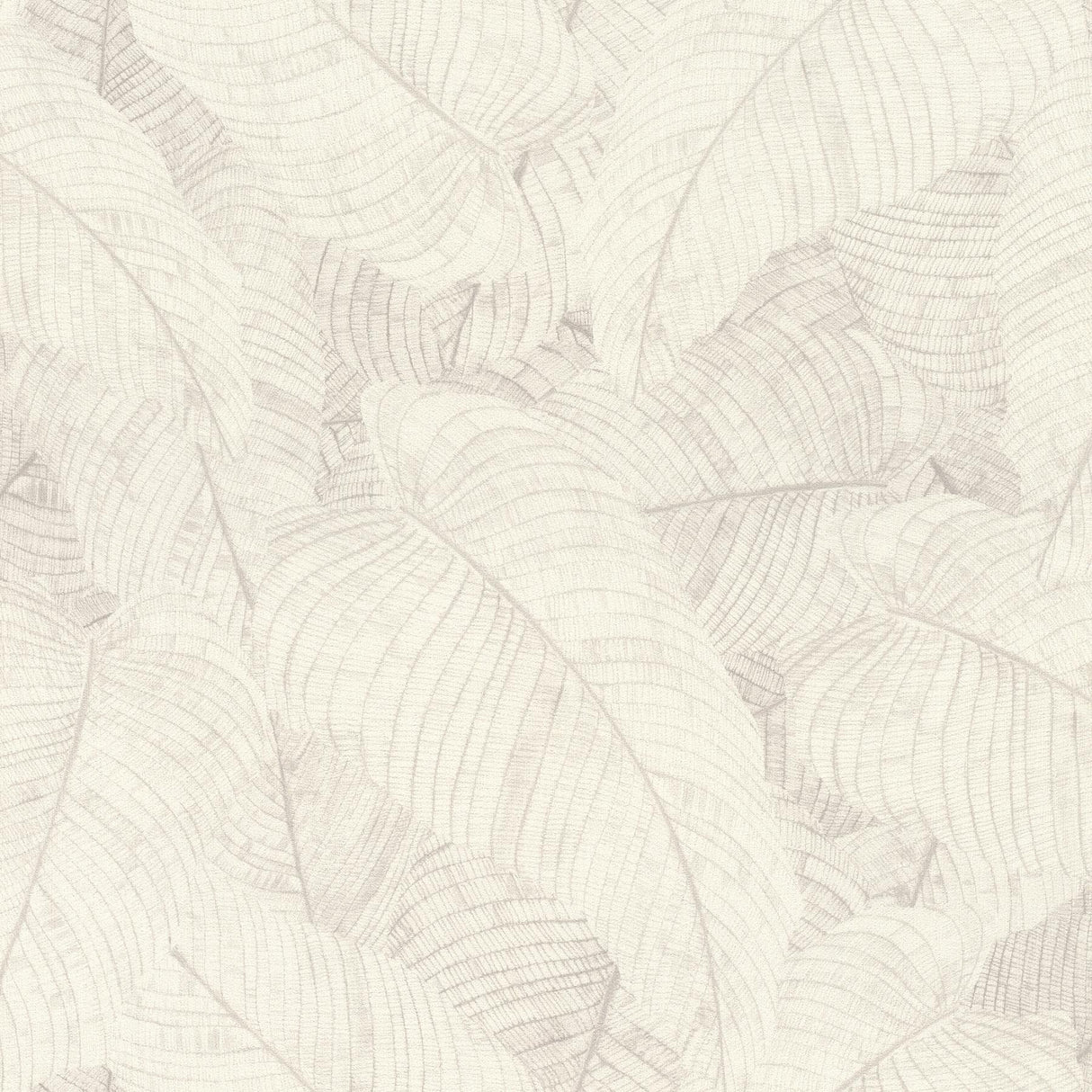 York Galner Ivory Leaves Wallpaper