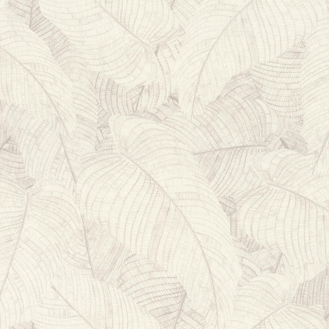 York Galner Ivory Leaves Wallpaper