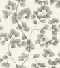 York Newcomb Grey Trailing Branches Wallpaper