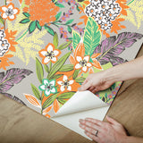 York RuJardin l'Orange Peel & Stick Wallpaper