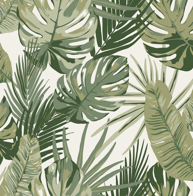 York Green Palmero Peel & Stick Wallpaper