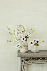 York Cucumber Classic Faux Grasscloth Peel & Stick Wallpaper
