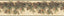 York Wyola Olive Pinecone Forest Border