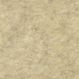 York Whitetail Lodge Olive Distressed Texture Wallpaper