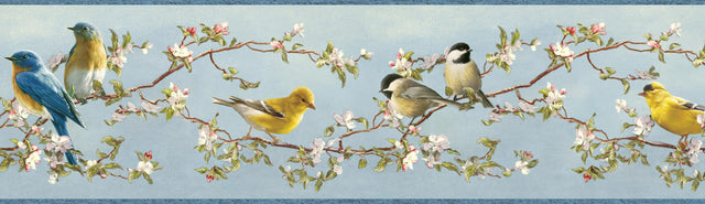 York Vandalia Sky Songbird Border