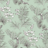 York Shelly Mint Toucan Toile Wallpaper