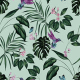 York Clivia Mint Hummingbird Wallpaper