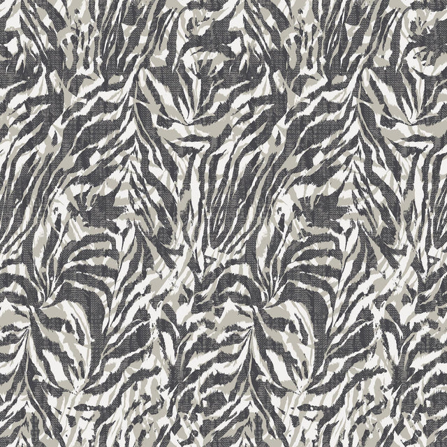 York Davy Charcoal Zebra Wallpaper